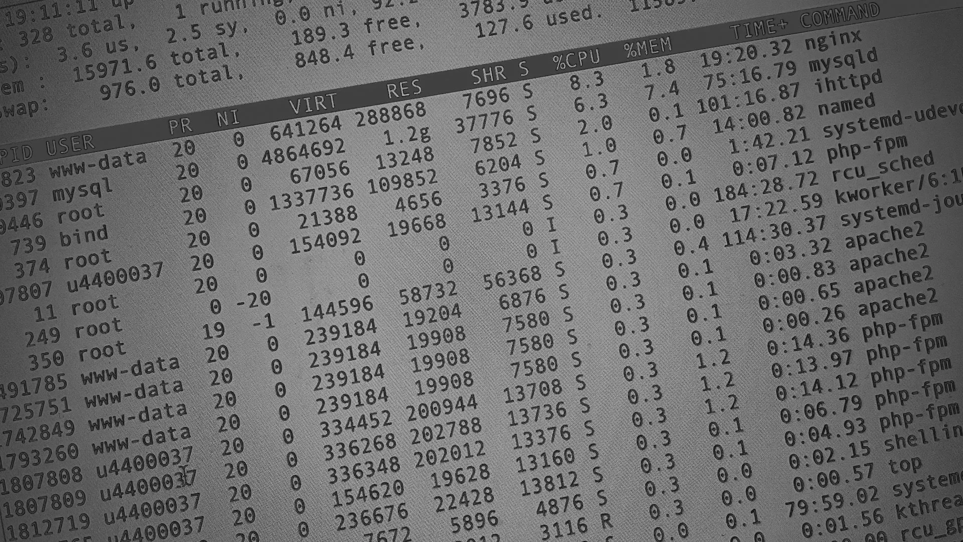 Настройка сервера в Обнинске