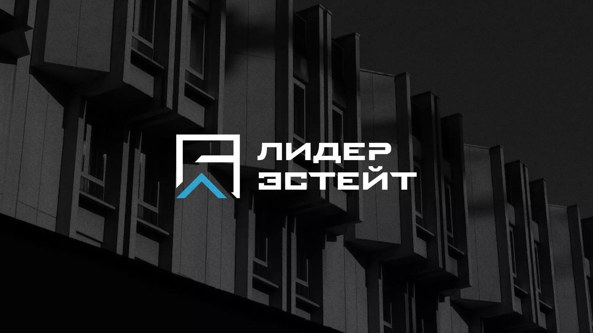 Разработка логотипа агентства недвижимости «Лидер Эстейт» в Обнинске