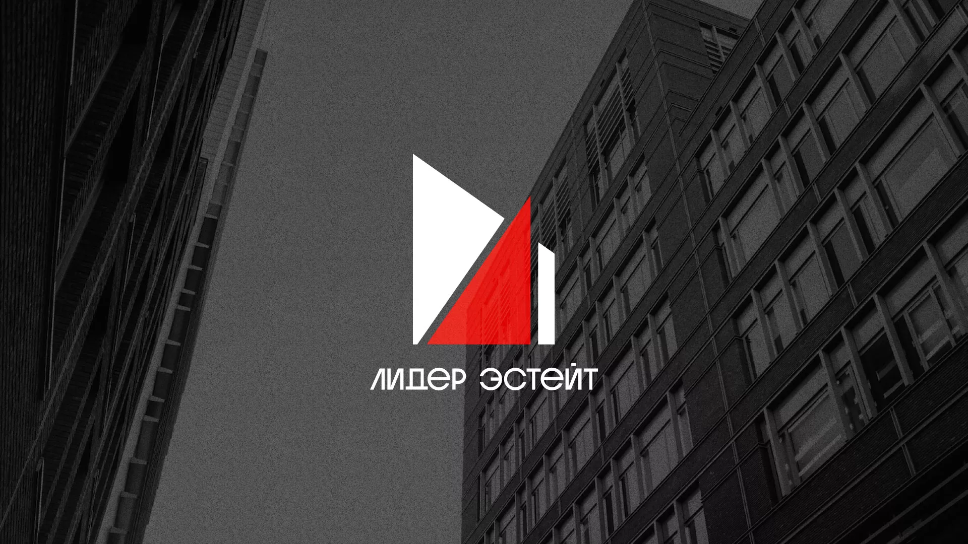 Сделали логотип для агентства недвижимости «Лидер Эстейт» в Обнинске